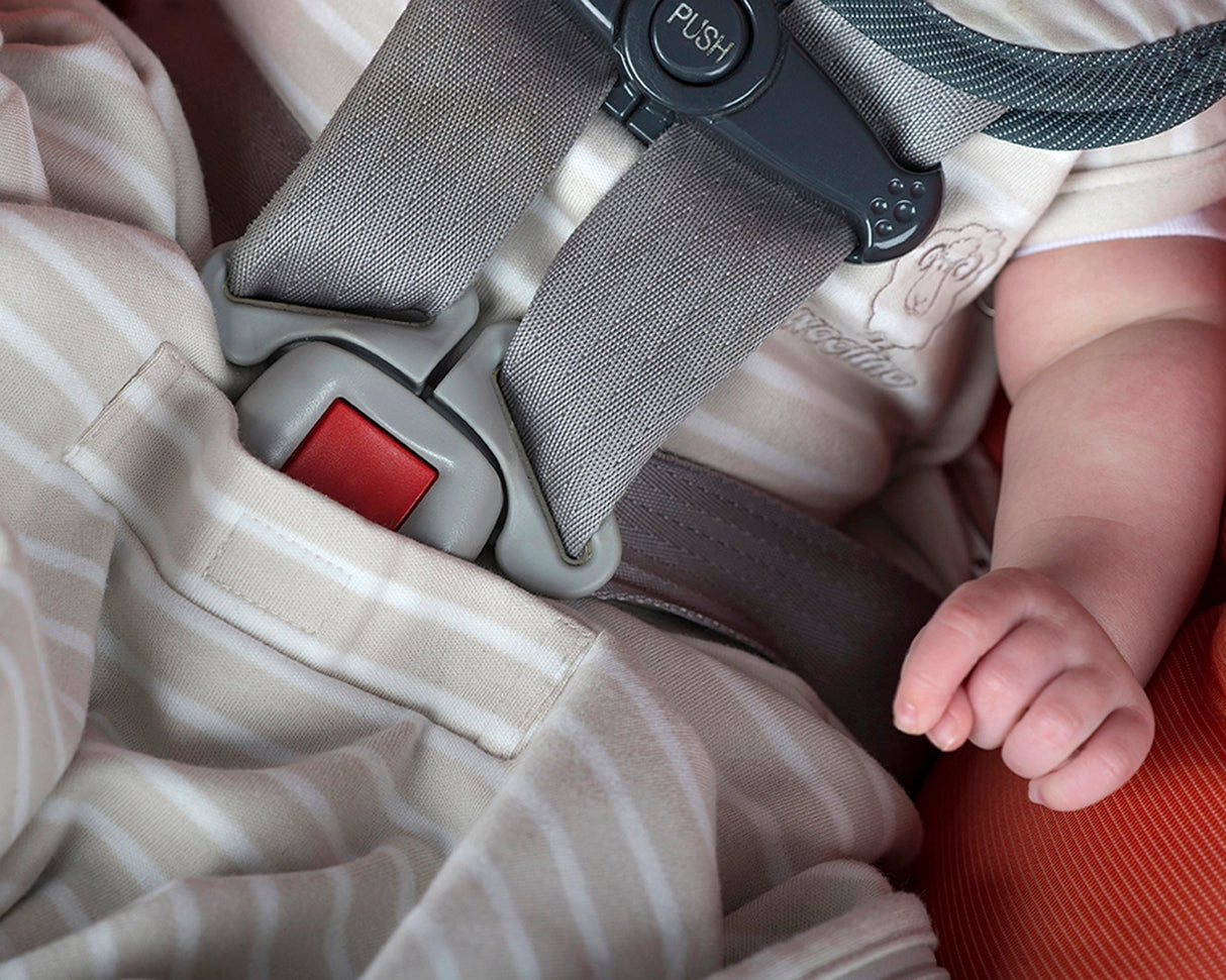 4 Season Ultimate Baby Sleep Bag, Merino Wool, 2 Months - 2 Years, Rose