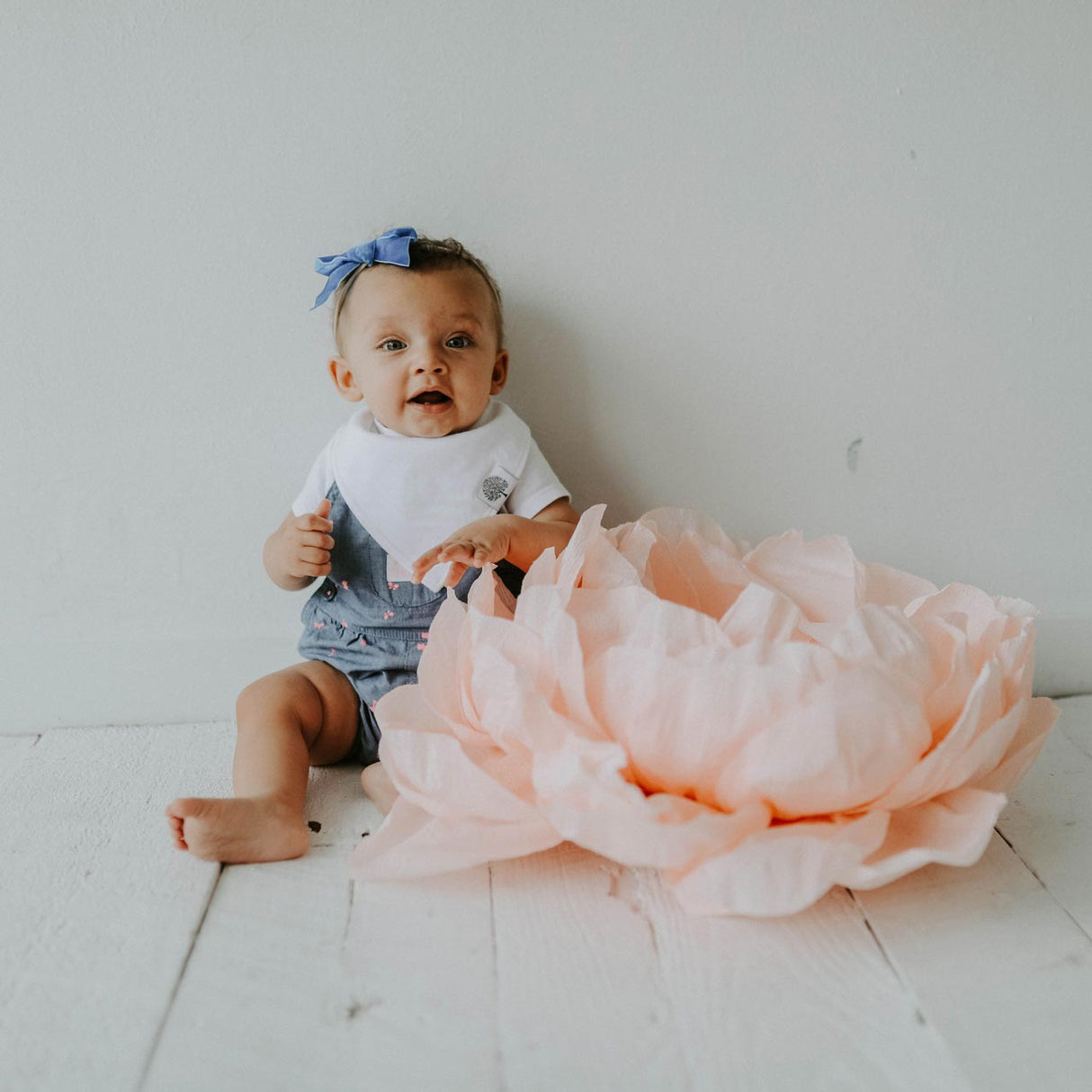 Arctic Bandana Bib Set (8 pack)