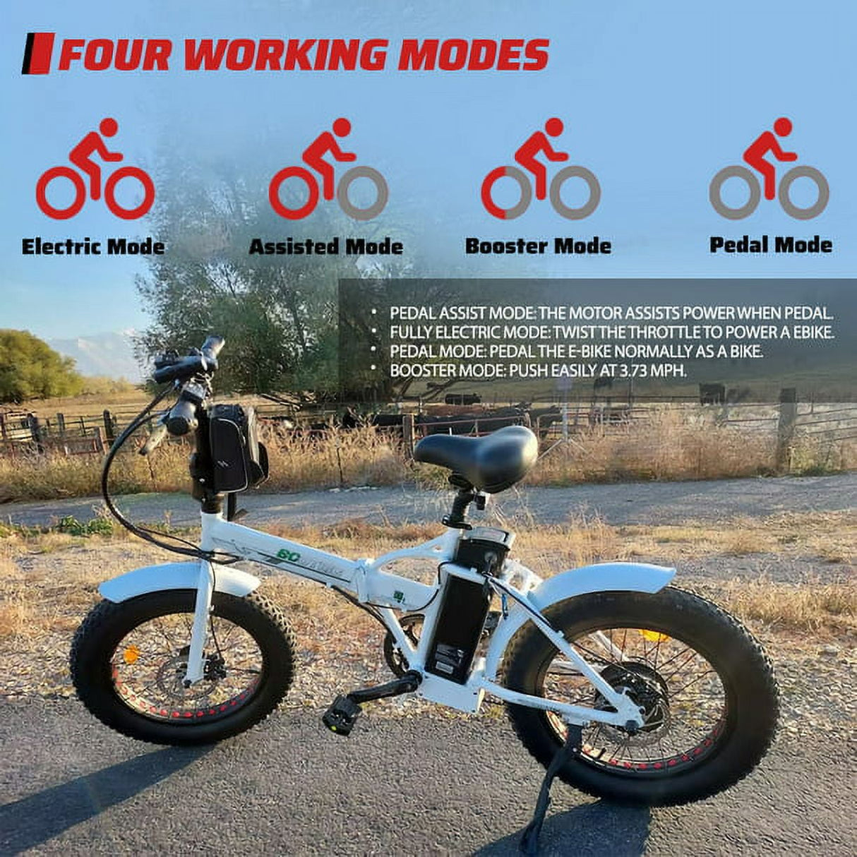 ECOTRIC Folding 20" Fat Tire Electric Bike 500 W Removable Battery Pedal Assist Power A-E516646