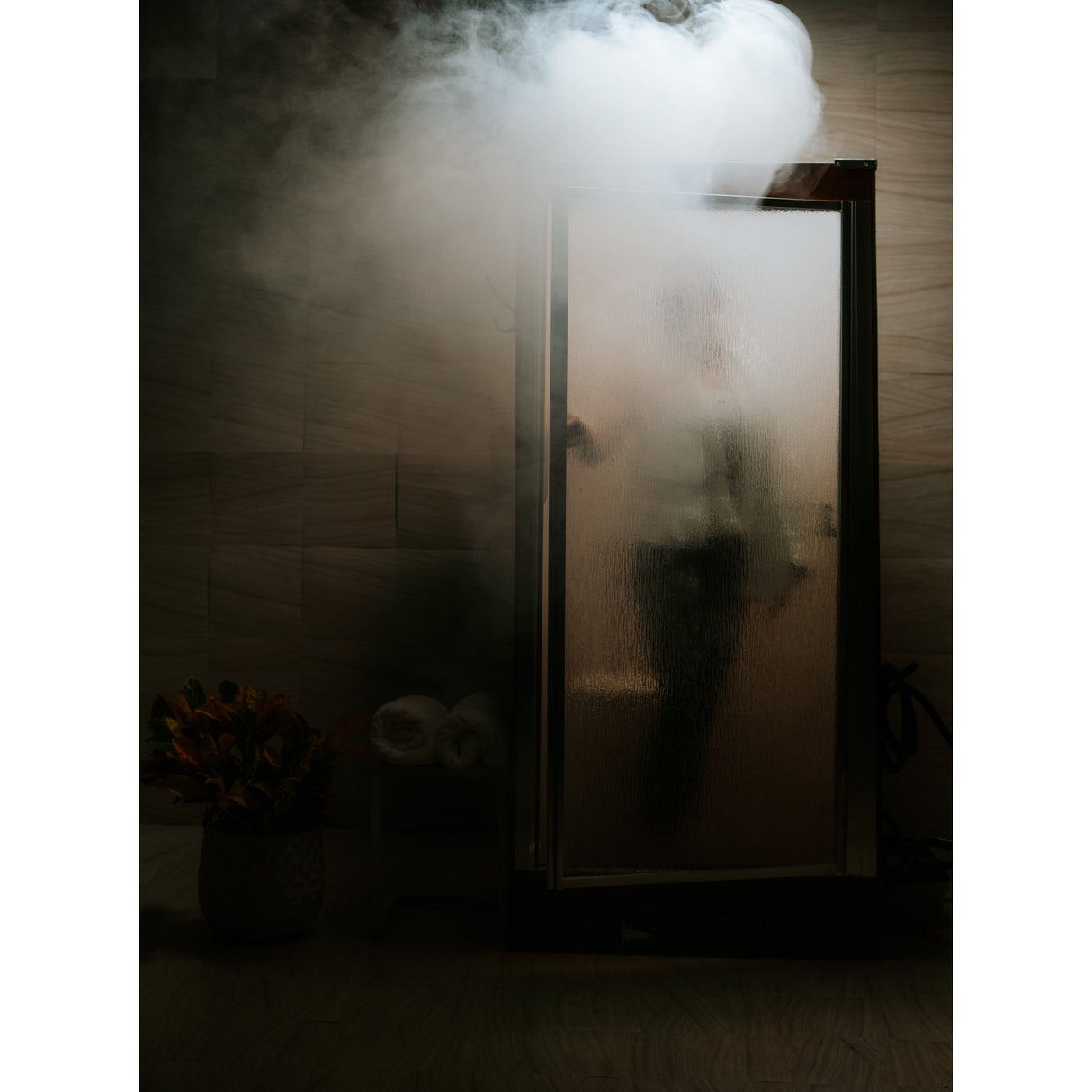 GeyserSteam Excelsior 2-Person Steam Sauna