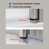 SUNNY SHOWER 1/4 Inch Frameless Chrome Finish Pivot Shower Door