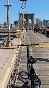 Ecotric E-Ride Electric Bike Trail Riding Ebike Girl Cruiser Foldable 20 inch Wheels 350W 36V Removable Battery 7 Speed City Commuter for Children A-E516646