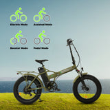 Ecotric 20" 48 V 500 W 15 AH Folding Electric Fat Tire Bicycle Bike City Ebike Black w/ Black A-E516646