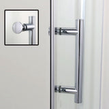 SUNNY SHOWER 1/4 Inch Frameless Chrome Finish Pivot Shower Door