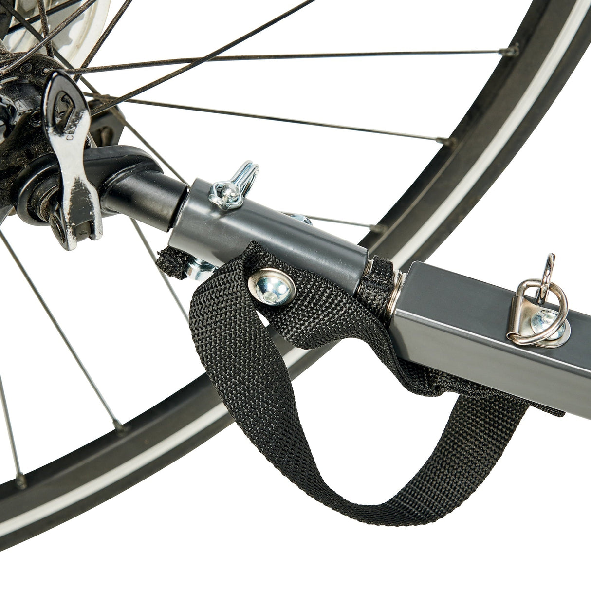 Allen Sports Deluxe 2-Child Bicycle Trailer & Stroller, max capacity 100 lbs, Model AS2, Green