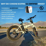 ECOTRIC Folding 20" Fat Tire Electric Bike 500 W Removable Battery Pedal Assist Power A-E516646