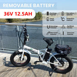 ECOTRIC Folding 20" Fat Tire Electric Bike 500 W Removable Battery Pedal Assist Power A-E516646