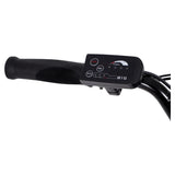 Hyper Bicycles Ultra 40 20" 36V Electric Bike for Adults, Pedal-Assist, 250W E-Bike Motor, Matte Black