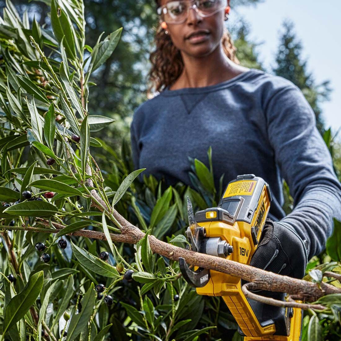 DeWalt DCMPP568P1 18v XR Cordless 38mm Pruner Inc 1x 5.0Ah Battery