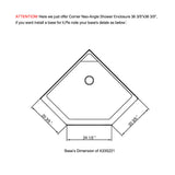 SUNNY SHOWER 36.7 in. W x 36.7 in. D x 71.8 in. H Frosted Chrome Finish Pivot Enclosures With Pivot Door