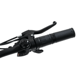 Revi Bikes Oasis 48V/15Ah 500W Step-Thru Electric Bike